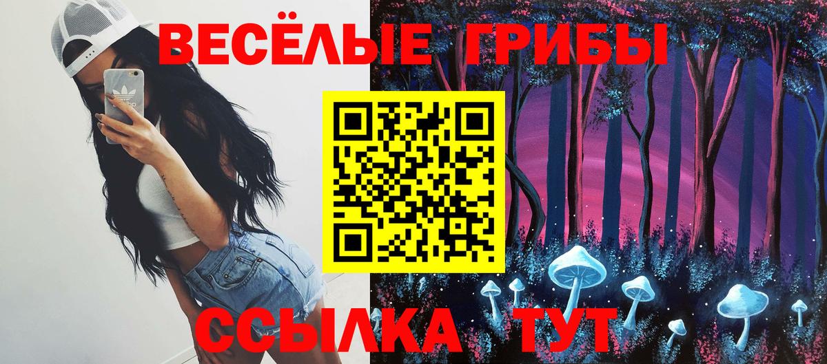 Псилоцибиновые грибы MAGIC MUSHROOMS Боровичи