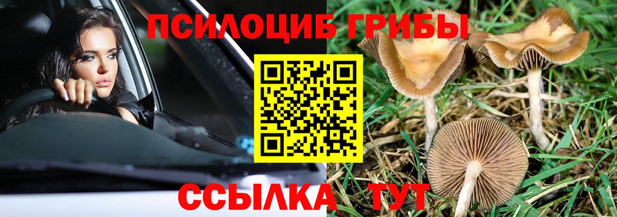 Меф МЯУ МЯУ кристаллы  Cocaine  Вход с VPN  Боровичи  Конопля  МЕТАМФЕТАМИН 